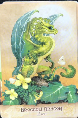 Field Guide to Garden Dragons